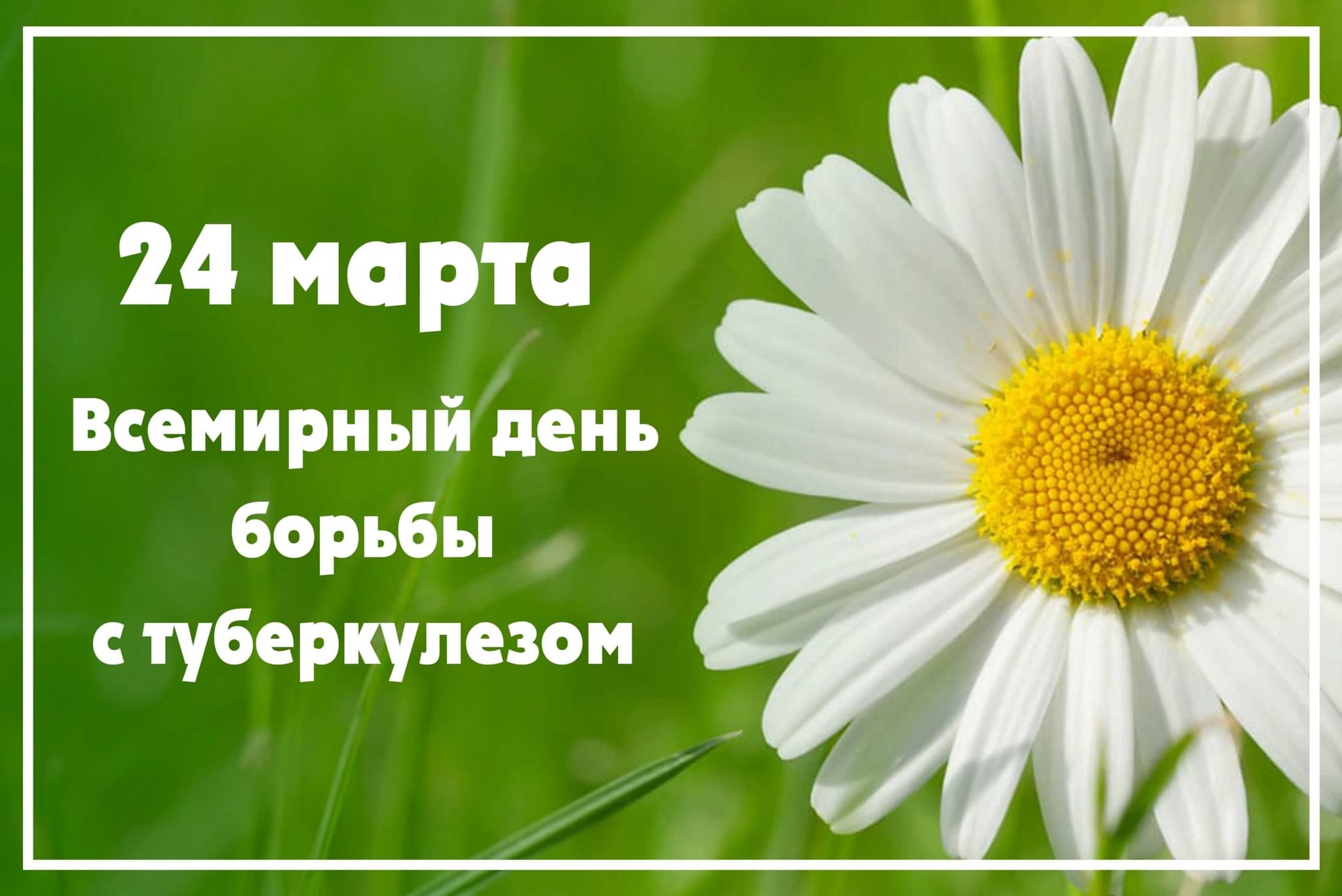 Туберкулез и его профилактика.